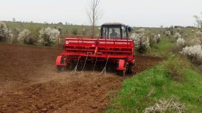 В 2022 году посевная площадь будет увеличена на 500 гектаров