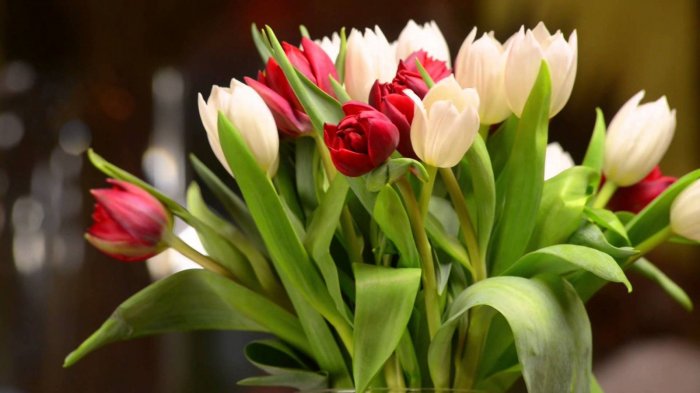 Поздравление Константина Джуссоева с 8 Марта