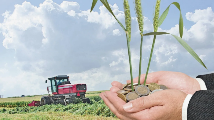 В Правительстве утвердили положение об инвестплощадках