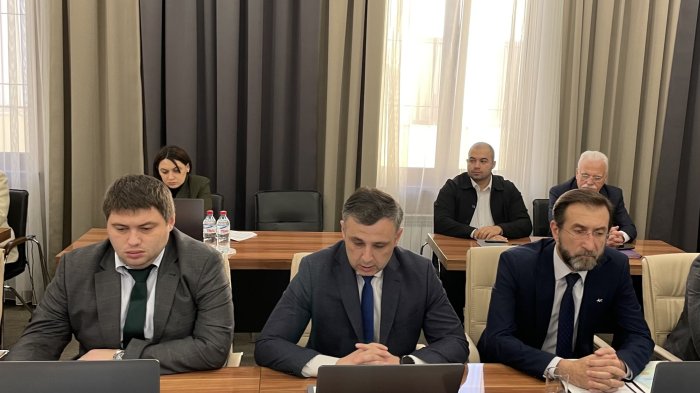 Олеся Тедеева освобождена от должности председателя Соцфонда