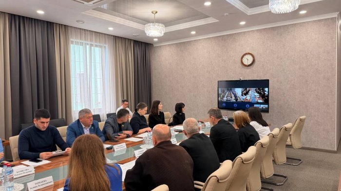 Совещание по развитию природоохранного сотрудничества России и Южной Осетии